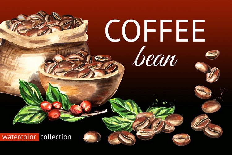 Coffee bean. Watercolor collection