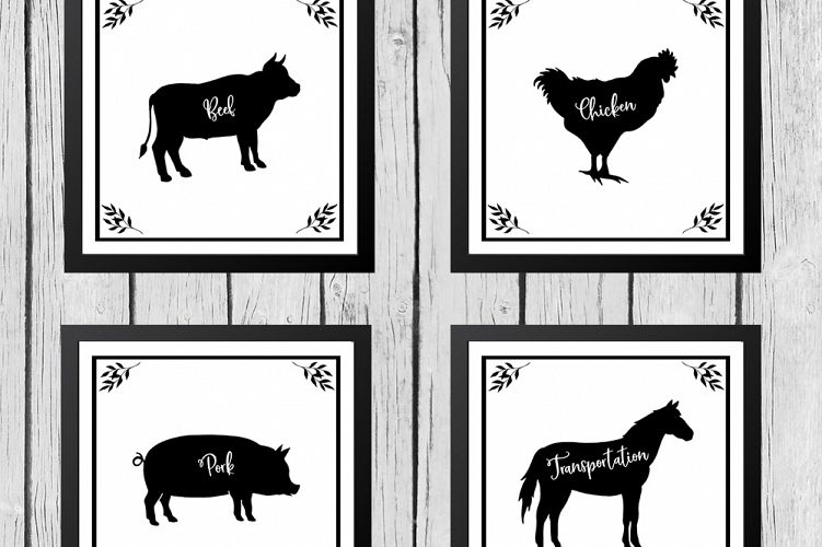 Farm Life Bundle