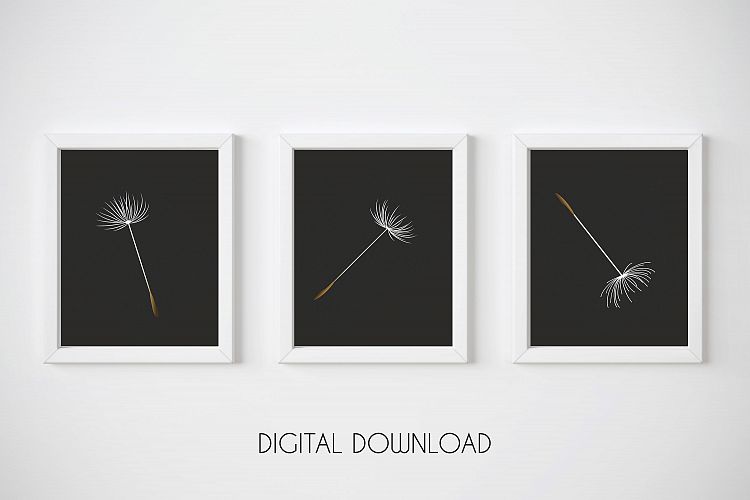 Dandelion Seed Print, Black Background Print, Botanical Art