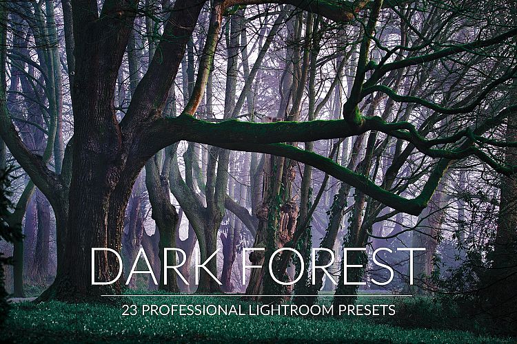 Dark Forest Lr Presets