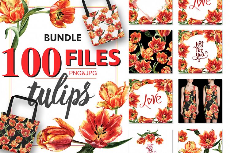 Tulip PNG watercolor flower set