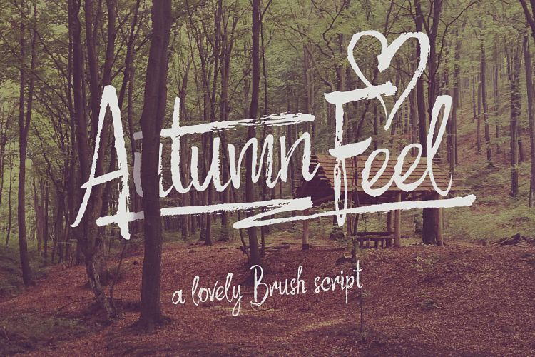Autumn Feel font