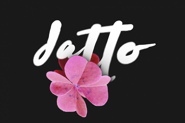 Datto Typeface