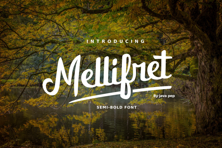 Mellifret script font