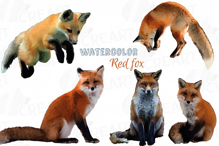 Red Fox Watercolor clip art, woodland watercolor fox, png