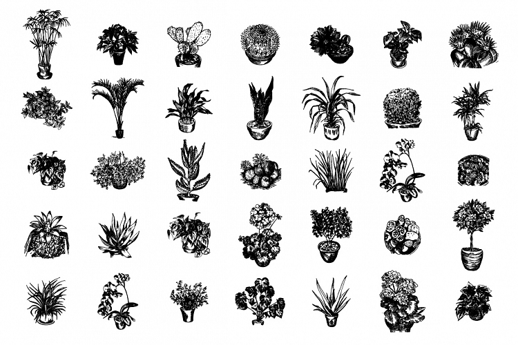 Home plants sketch illustration set.
