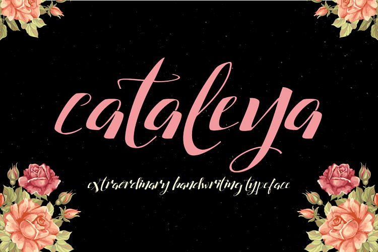 Cataleya Typeface (Full)