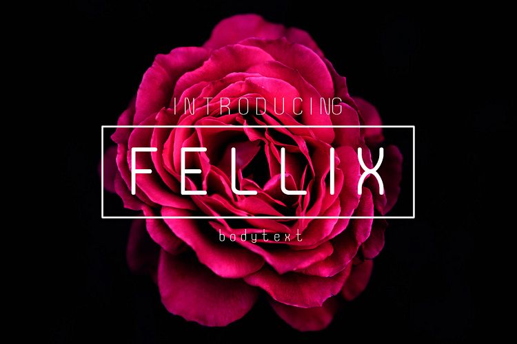 Fellix