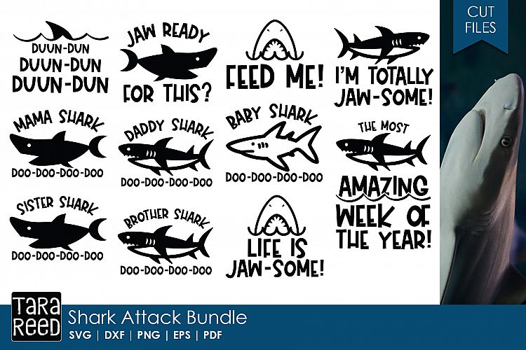 Shark Attack Bundle