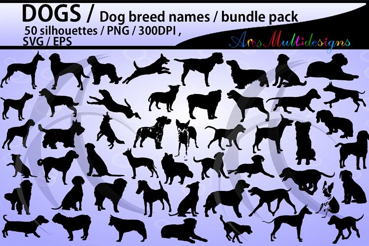 dog silhouette svg / 50 dog / dog breed names with pictures PNG / SVG / EPS / puppy/ Hq / vector / pets silhouette / animal silhouette