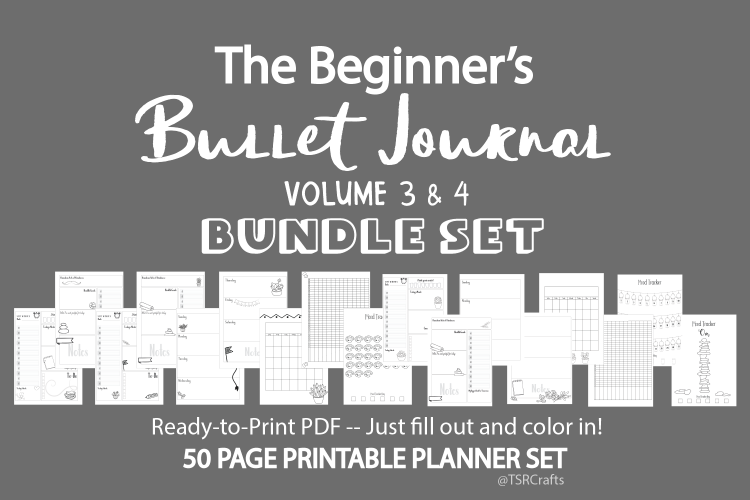 The Beginners Bullet Journal - Vol 3 & 4 Bundle