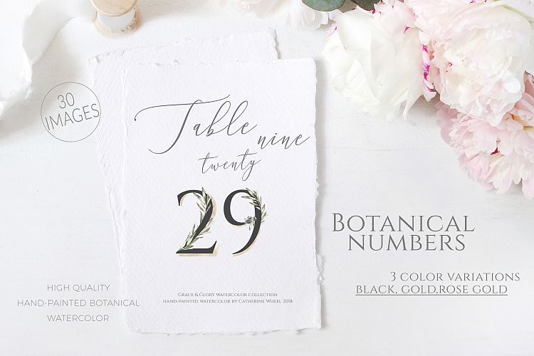 Olive Wedding Botanical Numbers