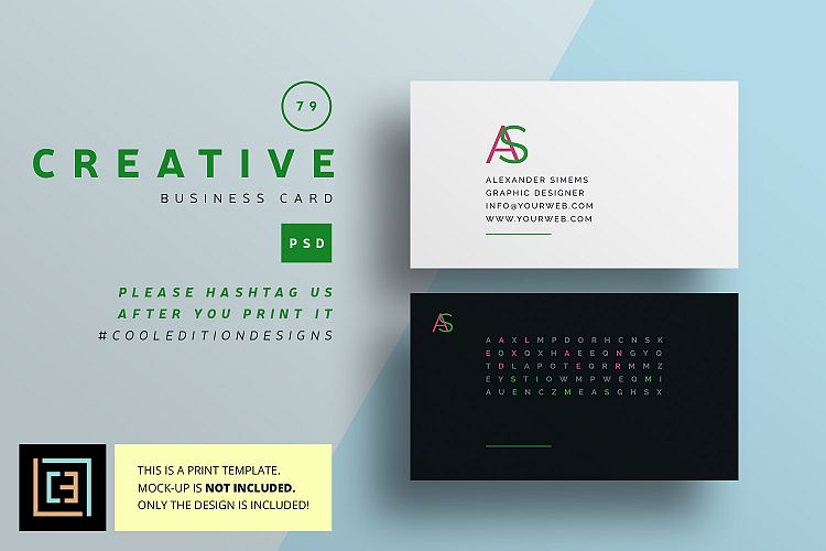 Creative Business Card - BC079