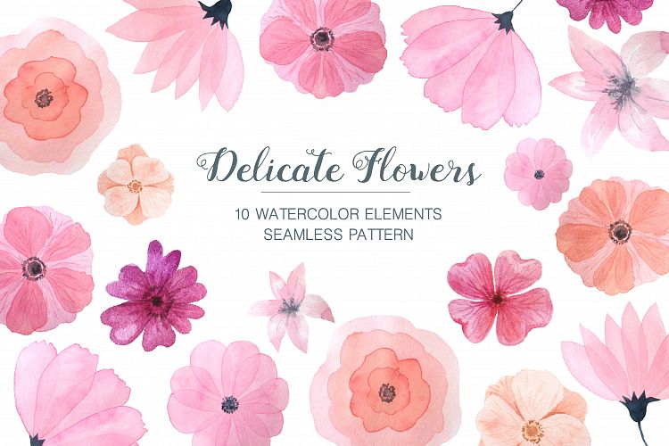 Watercolor Delicate Pink Floral Set