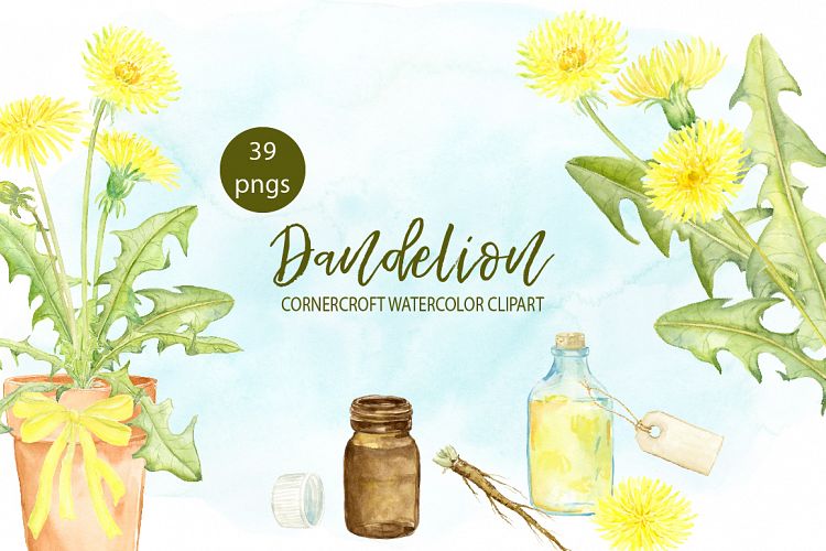 Watercolor Dandelion Clipart
