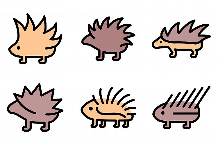 Porcupine icons set vector flat