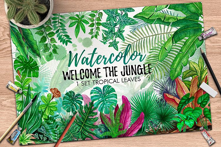 Tropical Leaves in the Jungle