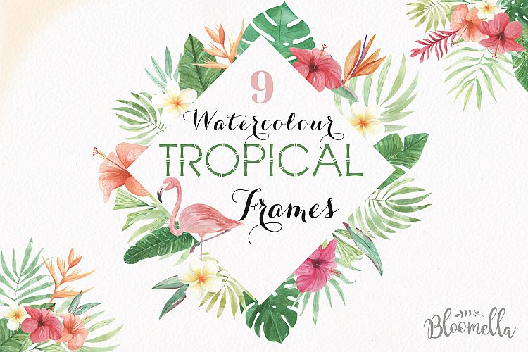 Tropical Watercolor Clipart Frames Border Flamingo Flowers Hibiscus