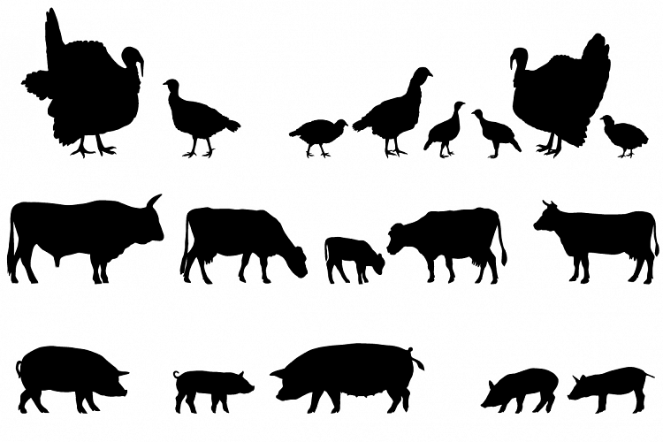 Farm animals