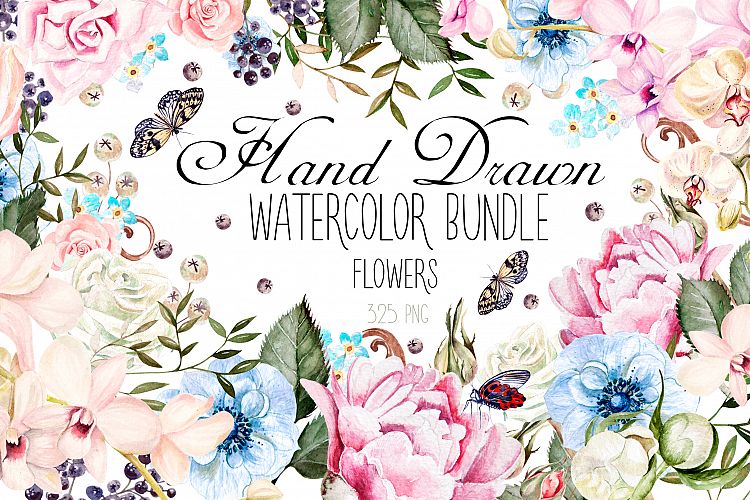Hand Drawn Watercolor BUNDLE 4