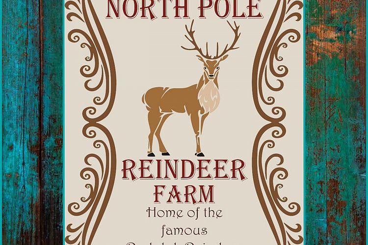 North Pole Reindeer 