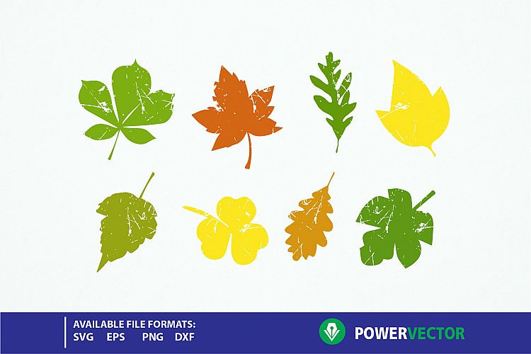 Fall Leaf SVG, Grunge Leaves Autumn Svg, Distressed Leaves