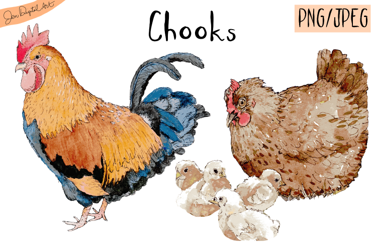 Watercolor Chooks | Watercolor Clip art| PNG/JPEG