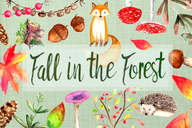 Watercolor Fall in the Forest Clip Art Set