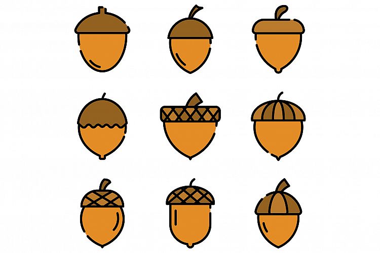 Acorn icons vector flat example image 1