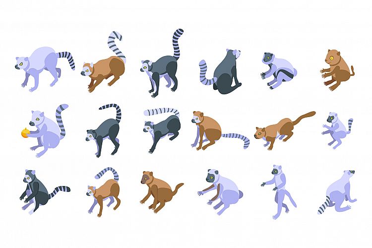 Lemur icons set, isometric style example image 1