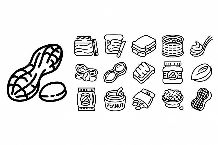 Peanut icons set, outline style example image 1