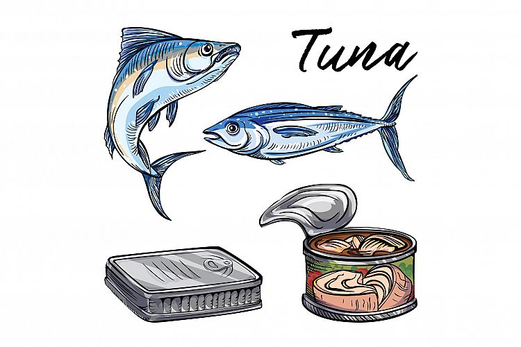 Tuna icons set, cartoon style