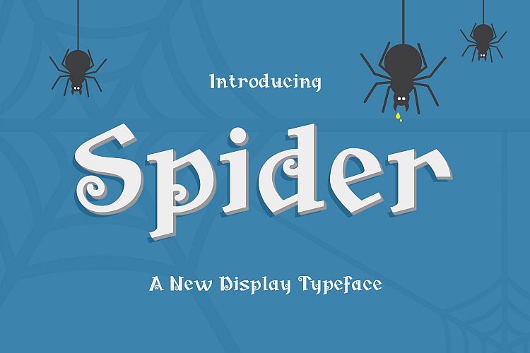 Spider