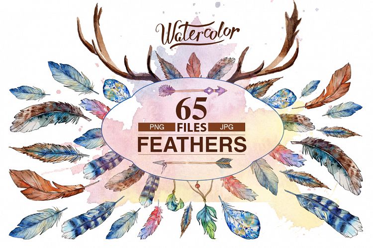 Feather PNG watercolor bird set
