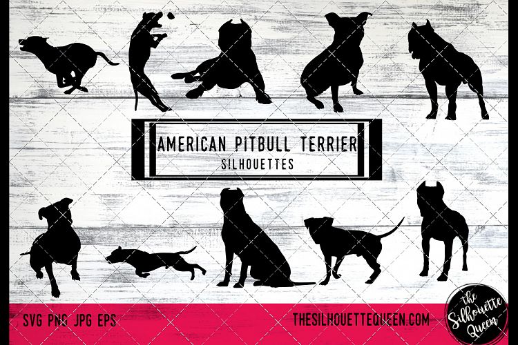 American Pit Bull Terrier Dog svg files cricut, silhouette c