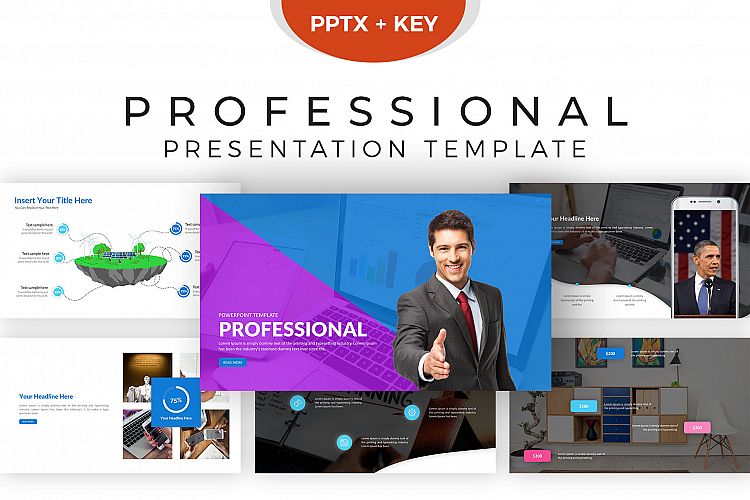 Professional Presentation Template