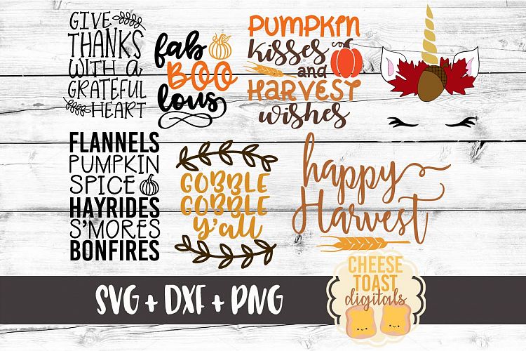 Fall Bundle - Includes 14 Designs SVG PNG DXF Cutting Files