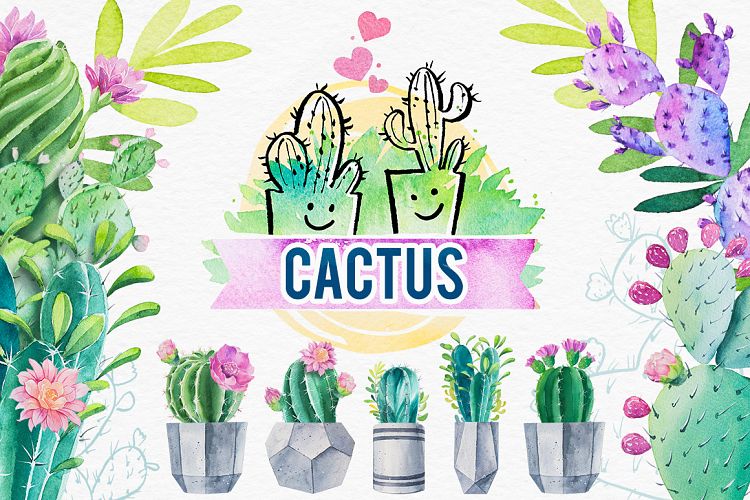 Cactus. Watercolor illustrations.