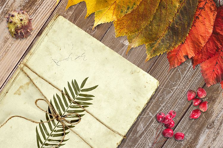 Autumn Scene Mock-up 7