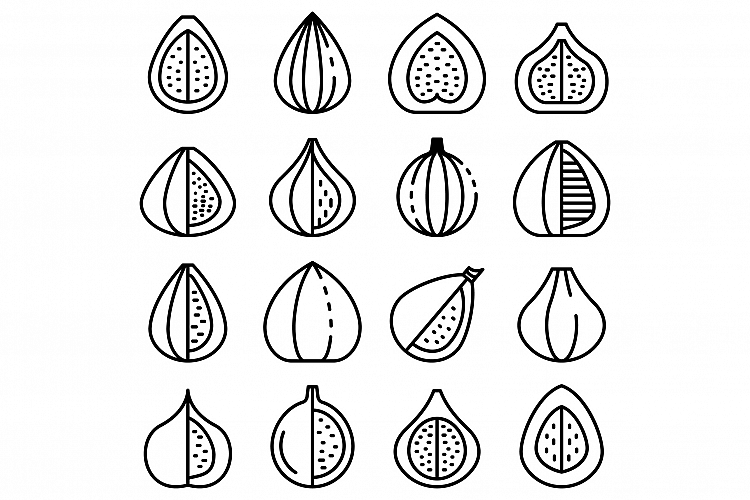 Figs icons set, outline style