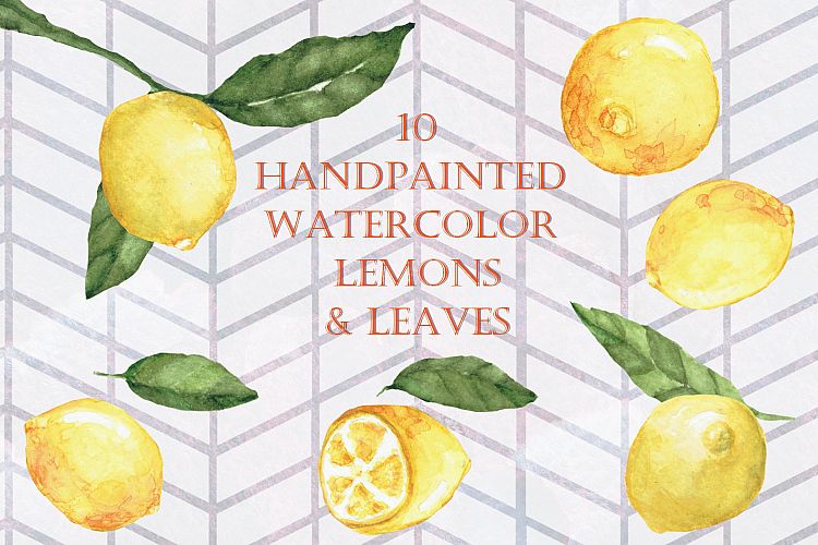 Handpainted Watercolor Lemons and Leaves Sampler