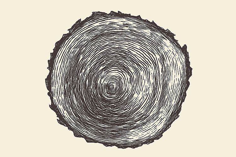 Tree rings