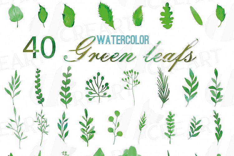 Green leaves and branches watercolor clip art pack, hand painted leafs collection. PNG, jpg, svg, vector illustrator & corel files included