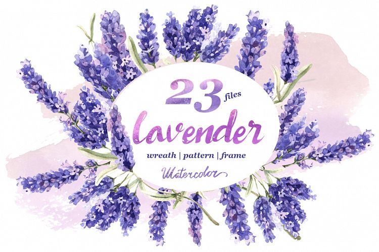 Lavender PNG flowers in watercolor (38457) | Illustrations | Design Bundles