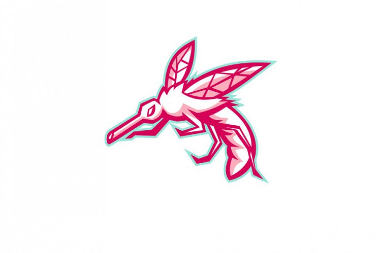 Mosquito Mascot