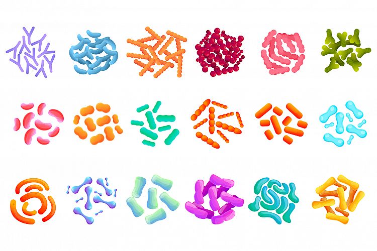 Probiotics icons set, cartoon style example image 1