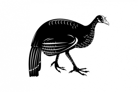 Wild Turkey Retro example image 1