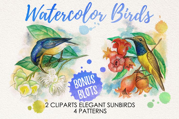 watercolor sun birds