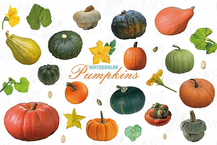 Watercolor pumpkin clip art pack, Pumpkin plant and flowers