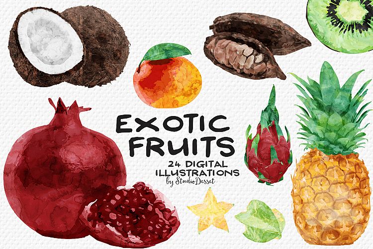 Exotic Fruits - Watercolor Illustrations